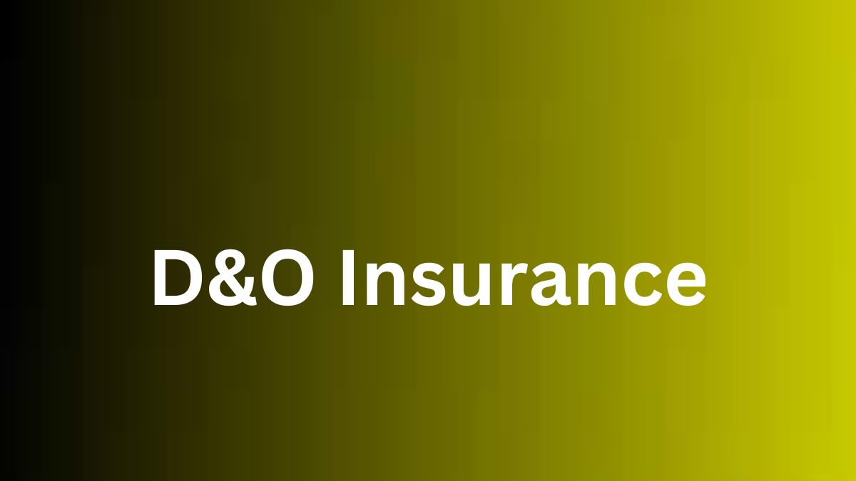 Insurance D D&O Insurance Introduction to Nonprofit